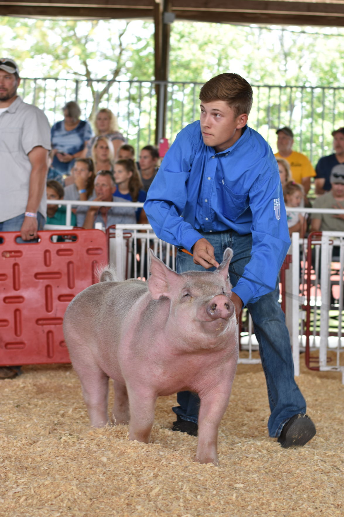 Cade Willis